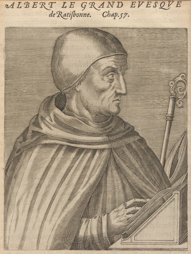 Saint Albert the Great from the Science History Institute collection