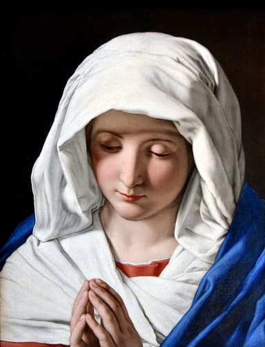Consecration of the Election to the Blessed Virgin Mary Novena devotional image